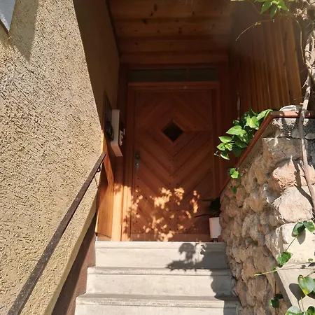 公寓 弗兰齐斯卡之家公寓 哈尔施塔特